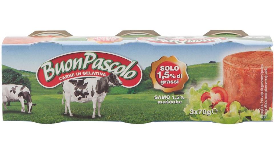 Buon Pascolo carne scatola